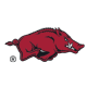 Arkansas logo