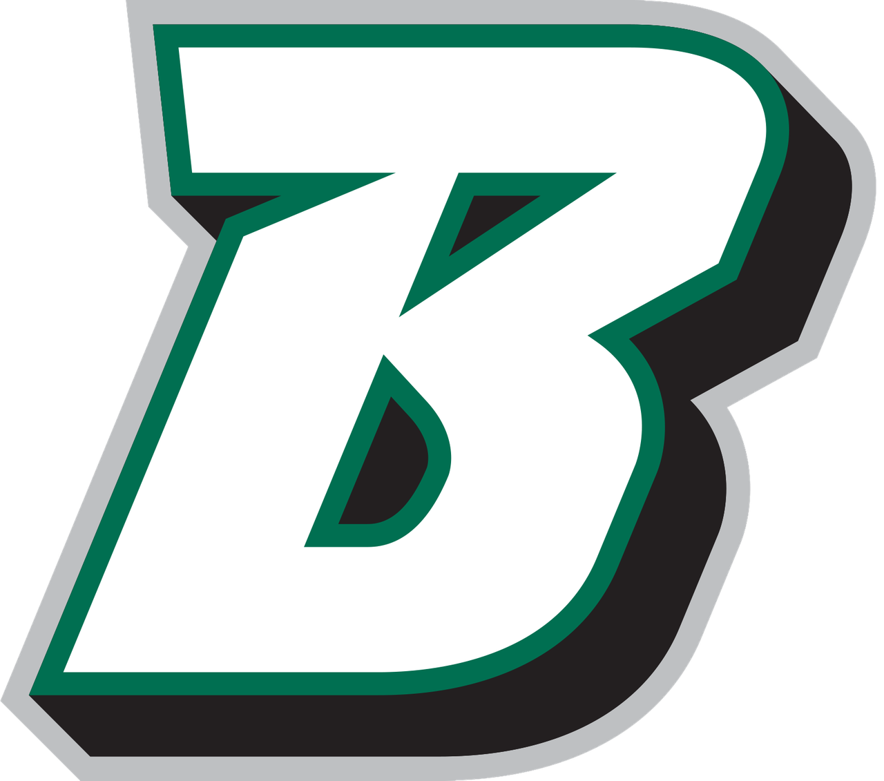 Binghamton logo