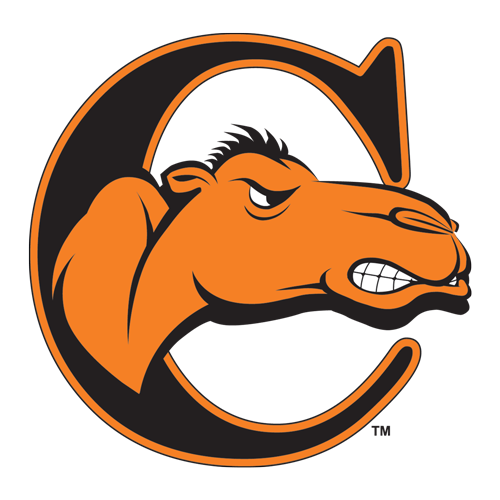 Campbell logo