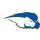 Hofstra logo